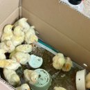 화탑영농조합법인 이미지