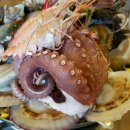 바다황제 이미지