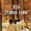 걷기명상과 이완명상으로 채우는 가을의 하루 이미지