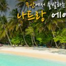 광주동양여행사 이미지