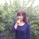 원애농장 이미지