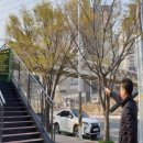 덕산아파트 앞 이미지