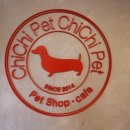 갈마애견 이미지