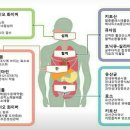 아미코젠퍼시픽