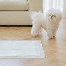 퍼펙트 하우스 이미지