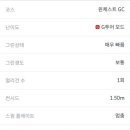 피케이스크린골프