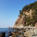 호미반도해안둘레길 이미지