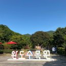 구름바다 | (전남 완도 여행) 완도 수목원 방문 후기