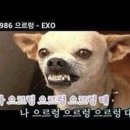 진성식당 이미지