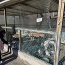 호명나루165풀빌라 이미지