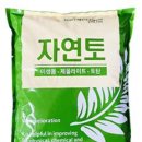 고려이화학 이미지