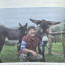 호택농장 이미지