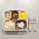 1.2.3 | 유아 탁가온 1.2.3 실리콘 흡착식판 공구 내돈내산 후기 돌아기 식판 추천 이유