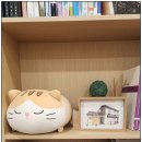 서초성모정신건강의학과의원 이미지