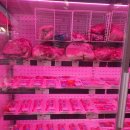 동암축산 이미지