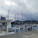 아그리나 B 이미지