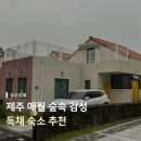 유수암쉘2쉘위키스 | [제주 애월] 유수암쉘 독채숙소 내돈내산 후기