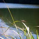 불갑사관광지 이미지