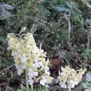 화수목 농원 이미지