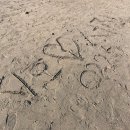 유연수농장 | 제주도 쨍쨍님을 만났다