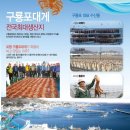 구룡포 미르아라 | 포항가볼만한곳/2016년 제5회 구룡포 수산물 한마당잔치