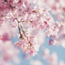 수도의료기 이미지