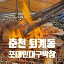 춘천막창 퇴계동맛집 포대인대구막창