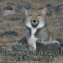 오후3시반