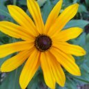 서운동산펜션 이미지