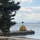 3418 | 나오시마｜지츄미술관, 히로시 스기모토 갤러리 예약 및 방문 후기