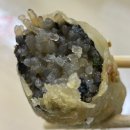애플꼬마김밥 시지점 | [리뷰] 노은동 분식집 꼬마김밥 맛있는 ’애플꼬마김밥’