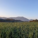 홍남삼거리 이미지