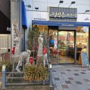 남구-132 | [공지] [울산 남구] 정일준 과자점 두바이 쫀득 쿠키, 요즘 제일 많이 찾는 이유