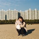 로그필름 이미지