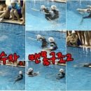 라이프가드 이미지