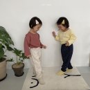 고쟁이 Daum카페