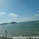 테라마르 이미지