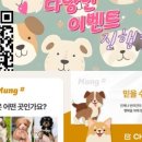 멍샵 이미지