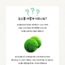 원데이그린