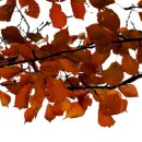 석양경로당 이미지