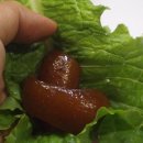 돈그린포크