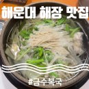 [부산] 해운대 해장 맛집, 복어 처음 먹어본 사람의 내돈내산 후기-금수복국