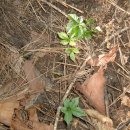 서상농장 이미지