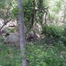 방장산 농장 이미지