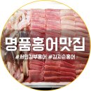 김지순홍어 | 명품홍어맛집 금성수산 홍어 후기