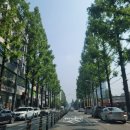 대구매호초등학교 이미지