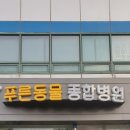 푸른동물종합병원 | &lt; 엘리의 일상 &gt; 푸른동물 종합병원 수술후기
