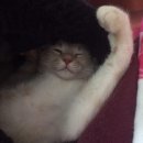 동송민박 이미지