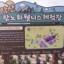 ♡거창감악산 아스타국화와 합천 신소양공원의 핑크뮬리 이미지