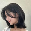 아녹헤어